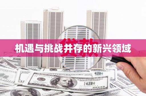 澎湖机遇与挑战并存的新兴领域