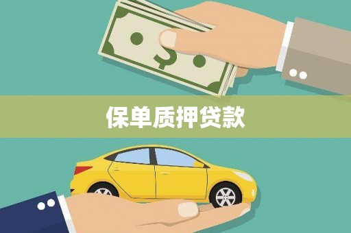 澎湖保单质押贷款
