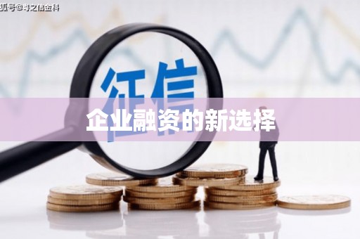 澎湖企业融资的新选择