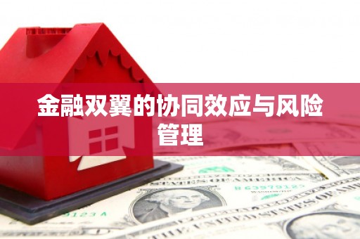 澎湖金融双翼的协同效应与风险管理