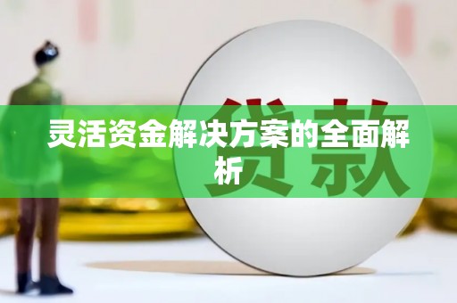 澎湖灵活资金解决方案的全面解析