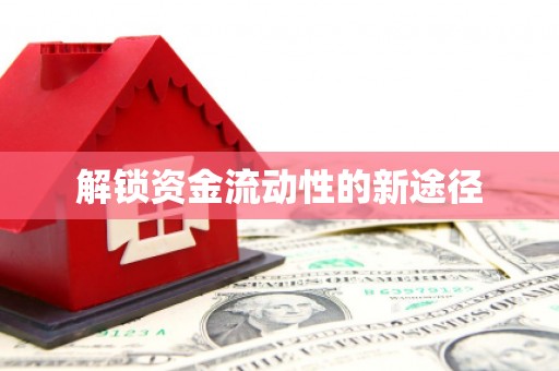 澎湖解锁资金流动性的新途径