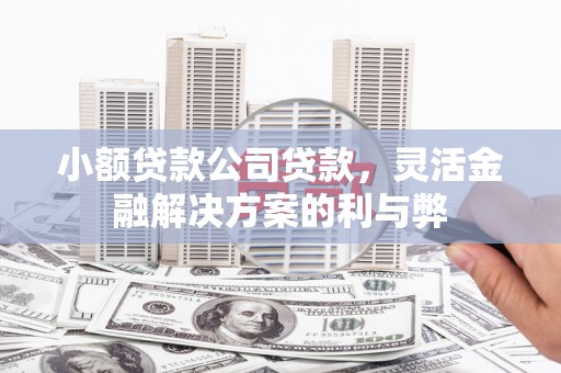 澎湖小额贷款公司贷款，灵活金融解决方案的利与弊