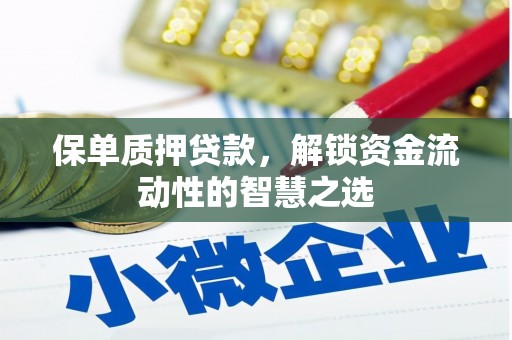 澎湖保单质押贷款，解锁资金流动性的智慧之选