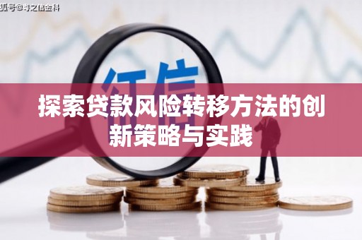 澎湖探索贷款风险转移方法的创新策略与实践